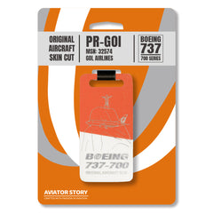 Aviation plane skin tag GOL Boeing 737 aircraft skin cut