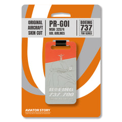 Aviation plane Boeing 737 aircraft skin tag