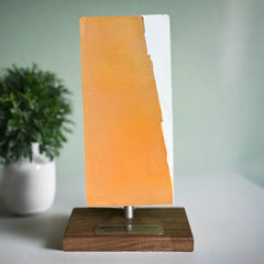Allegiant Air Boeing 757 N904NV Aircraft Fuselage Cut Art Table Sculpture